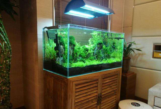 搬運魚缸